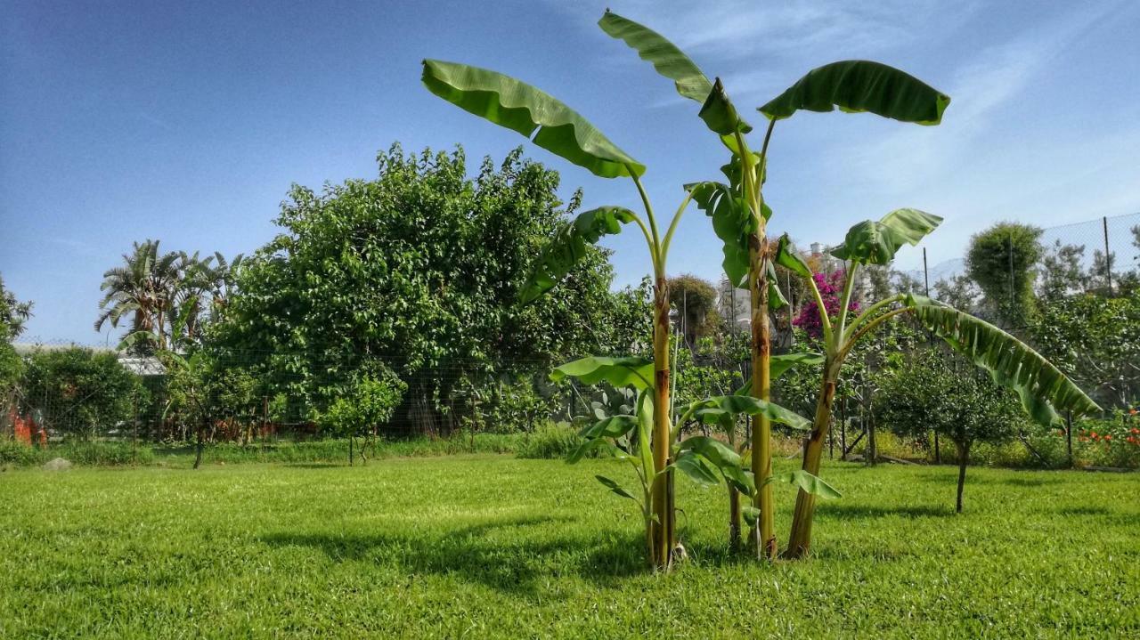 B&B Tifeo Villafranca Tirrena Buitenkant foto